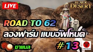 Black Desert Online : ROAD TO 62 [ ลองฟาร์มฟอร์กัน โหนด LV5 ] - BDO #13