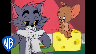 Tom y Jerry en Español ???????? | Mejores amienemigos