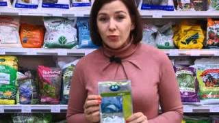 Семена профессиональные семена Syngenta