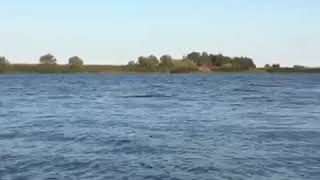 Рыбалка в Астрахани на сазана. Село Вышка. #ГостеаойДомНавигатор.