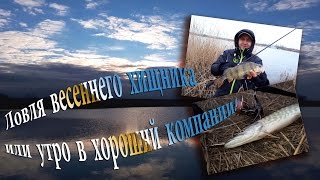 Ловля весеннего хищника. Джиг VS Доп-шот VS Блесна