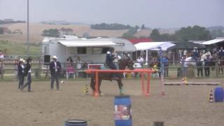 1 tappa GW  Marche 2016 tabu