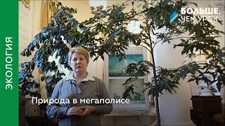 Природа в мегаполисе