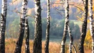 ИВАН ЧАЙ ТРАВА, Анна Сизова