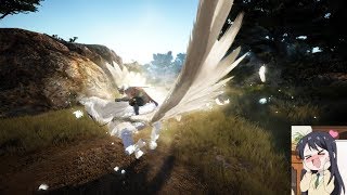 Black Desert Online SA - Pegasus!