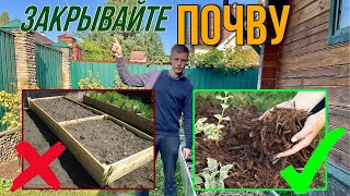 Никогда не оставляйте голую почву. 5 плохих последствий