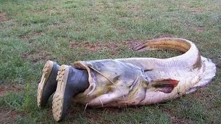 Приколы на рыбалке. Вот это прикол!
