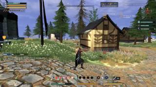 Crowfall - 2 v 1 test.