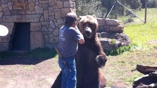 Face to Face with a Grizzly Bear Part 2