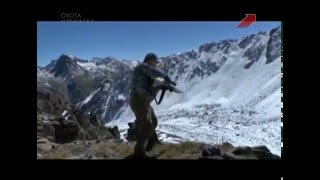 Горная охота на кавказского тура в Карачаево- Черкесии!