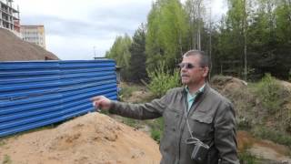 Лесной фонд в Южной долине под угрозой исчезновения