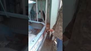 Цікаві   Лайвхаки заз 968 запорожец