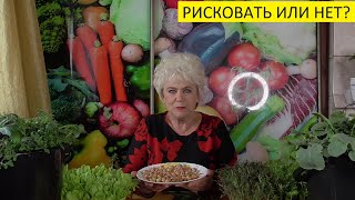 СТОИТ ЛИ ВЫСАЖИВАТЬ ЛУК ПОД ЗИМУ? Ольга Чернова