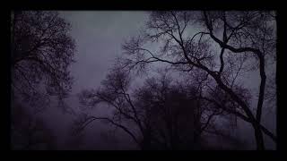 Dark aesthetic