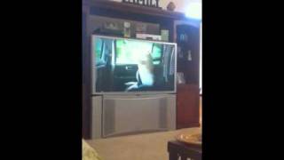 Geico little piggy commercial