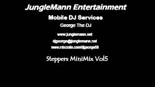 Steppers MiniMix Vol5