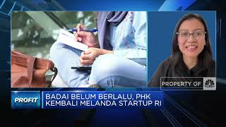 PHK Startup Berlanjut, Apa Penyebab & Kesalahannya?