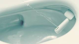 TOTO NEOREST AC biobidet ru