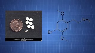 2C-B: What You Need To Know