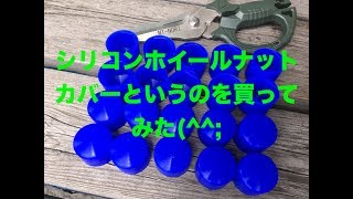 Amazonで面白いモノ買いました^^;（▼ナットカバー）