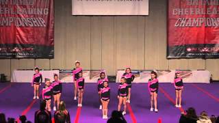 A M1As Niagara Cheerleading Mini Models