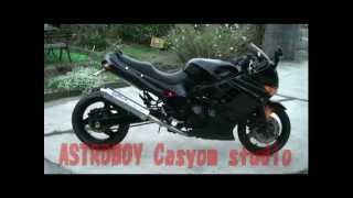 第２章ZZR400ロンスイ＆加工カウルカスタム