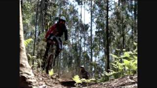 Trek Sessions - Chopana trail - Madeira