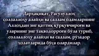 Рўзадор аёлини ўпиши, қучоқлаши жоиз экани