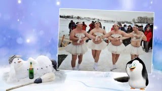 Видео поздравление "#СДнемРождения, "морж!" (Видеошаблон)# Видеопоздравление "С Днем рождения морж