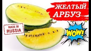ЖЕЛТЫЙ АРБУЗ ! ПРОБУЕМ вместе  / Сделано в России