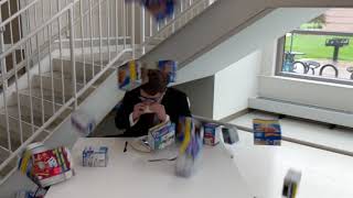 Poptart Riot