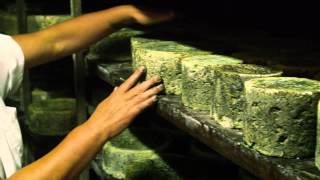 Certamen del Queso de Cabrales