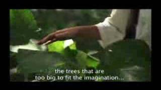 Colombia, the only risk is wanting to stay/ Amazonas