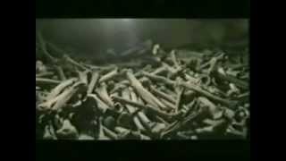 Some of the Most Haunted and Supernatural Places in the World