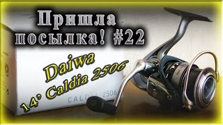 Пришла посылка! #22 - Daiwa 14' Caldia 2506 - безынерционная катушка для лёгкого спиннинга