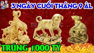 NGHÈO THẾ ĐỦ RỒI 3 TUỔI NÀY 3 NGÀY CUỐI T9 ÂL TRÚNG SỐ ĐỘC ĐẮC 1000 TỶ, TRẢ HẾT NỢ | TỬ VI TÀI LỘC