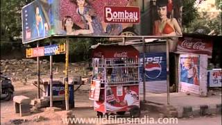 A roadside stall in Gurgaon