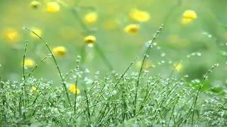 Ченнелинг-медитация 8.07.2014. Изида - Морея. Занятие 1