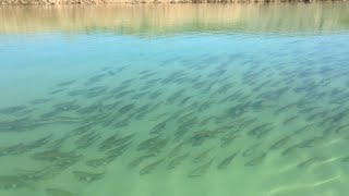 The Devils River - The Most Heavenly Place On Earth