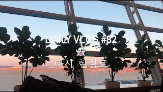 VLOG#82 ?다시 현실로? 엄마표 반찬들과 찹쌀파이, 감말랭이 | 일본 공항 지상직의 오사카 일상 브이로그