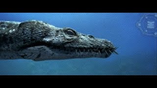 Животные Зоопарк мира Амфибии Земли След воды Жабры акулы Пик опыта Пыль звёзд Ген человека