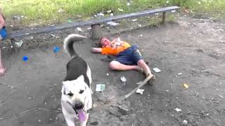 збс отдыхаем