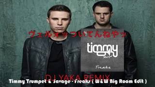Freaks 淫夢remix