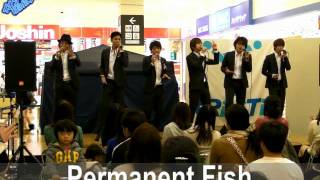 2013/11/23 sat　tRiniTiライブ　@イオンモール大垣