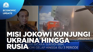 Jokowi ke Rusia-Ukraina, Dorong Dialog Damai Hingga Pasokan Gandum