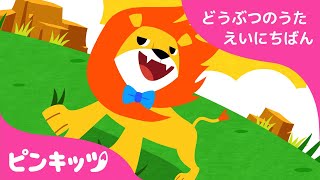 どうぶつのけっこんしき | どうぶつのうた 英日版 | 子供向け 英語の歌 | ピンキッツ童謡