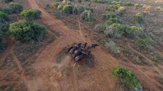 Aerial photography by Wildland Magazine