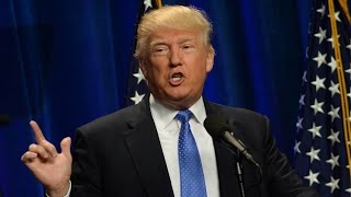Donald Trump Brought In A Lot Less Money Than Hillary Clinton In May