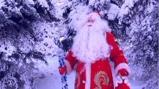 Harlem shake дед мороз