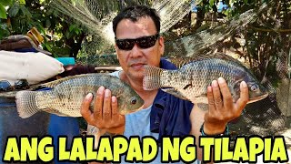 TIKSAY FISHING | ANG LALAPAD NG TILAPIA ( CATCHING BIG TILAPIA)